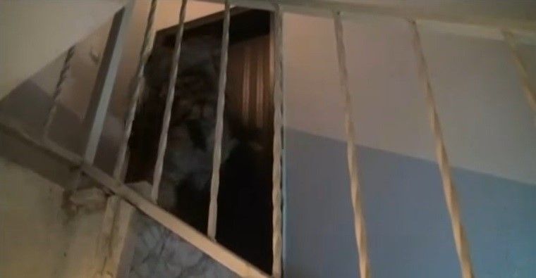 PKK operasyonunda şüphelinin açmadığı kapı koçbaşıyla kırıldı!