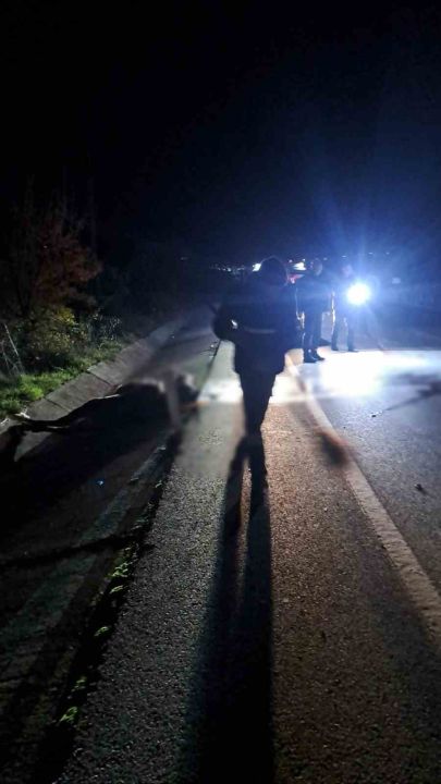 Ege’de acı olay: Ata çarpan motosikletli hayatını kaybetti