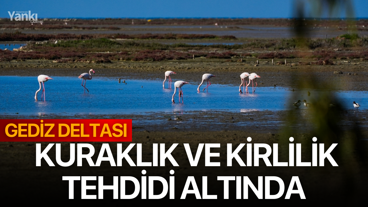 Gediz Deltası kuraklık ve kirlilik tehdidi altında