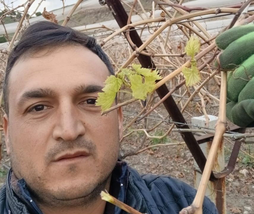 Bağlarda erken uyanma devam ediyor