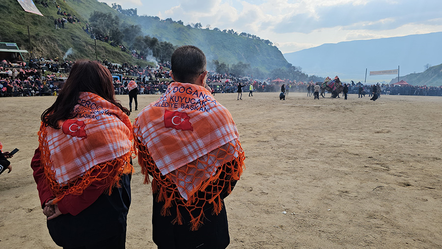 Deve güreşleri büyük ilgi gördü