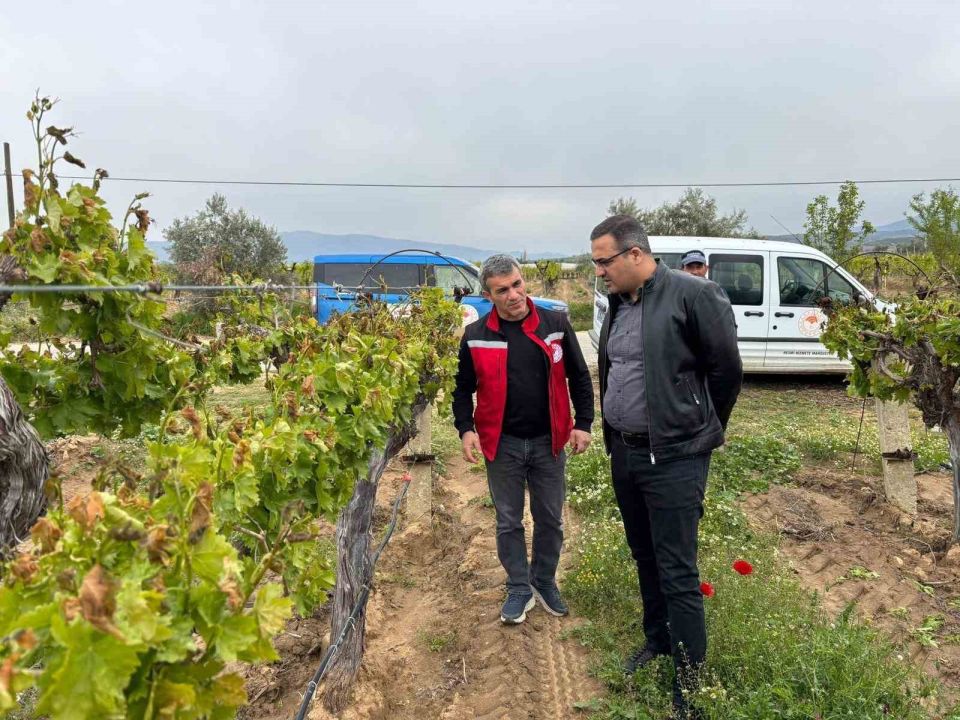 Kaymakam Dalak don zararı gören bağlarda incelemelerde bulundu