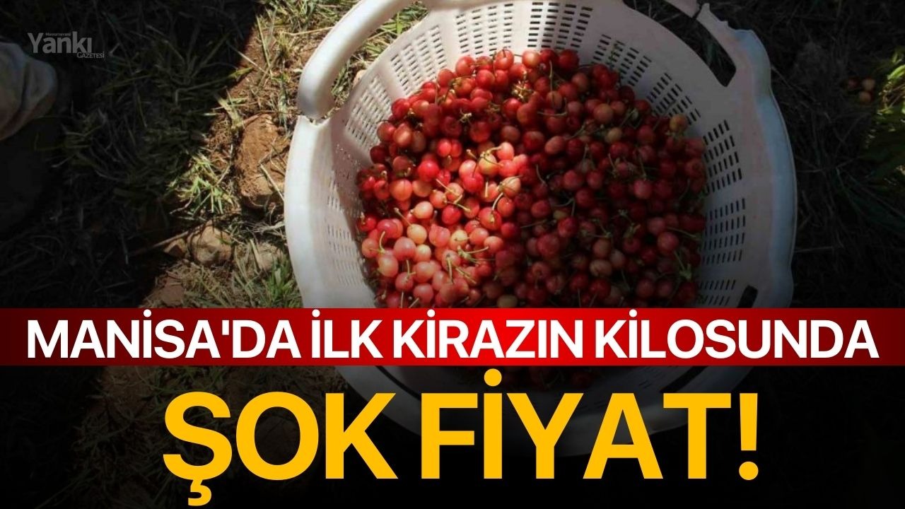 Manisa'da ilk kirazın kilosunda şok fiyat!
