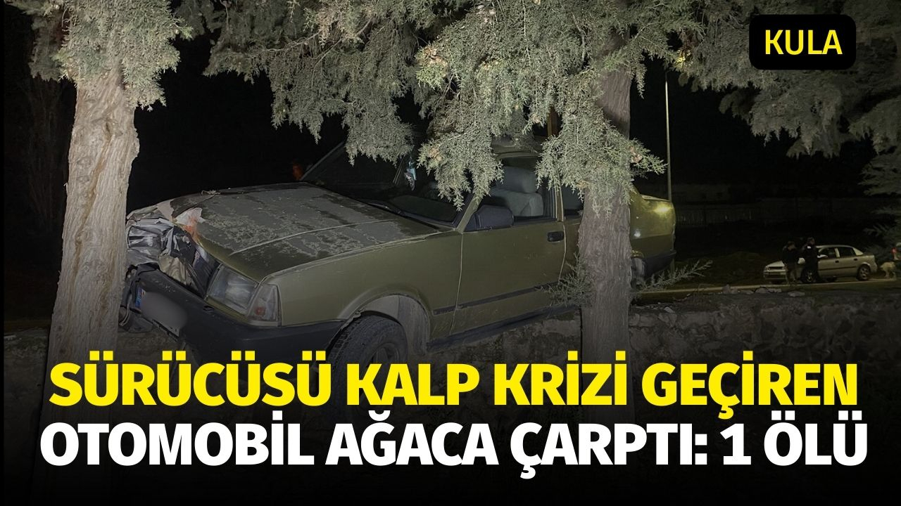 Sürücüsü kalp krizi geçiren otomobil ağaca çarptı: 1 ölü