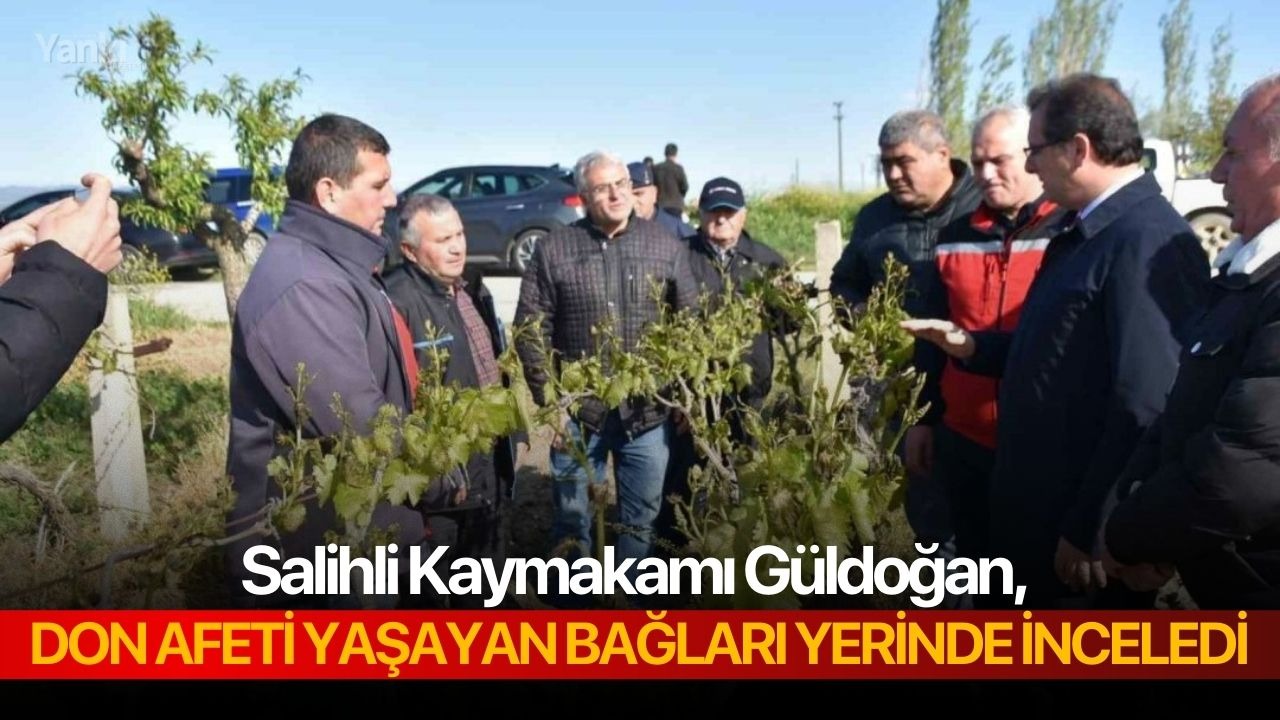 Salihli Kaymakamı Güldoğan, don afeti yaşayan bağları yerinde inceledi