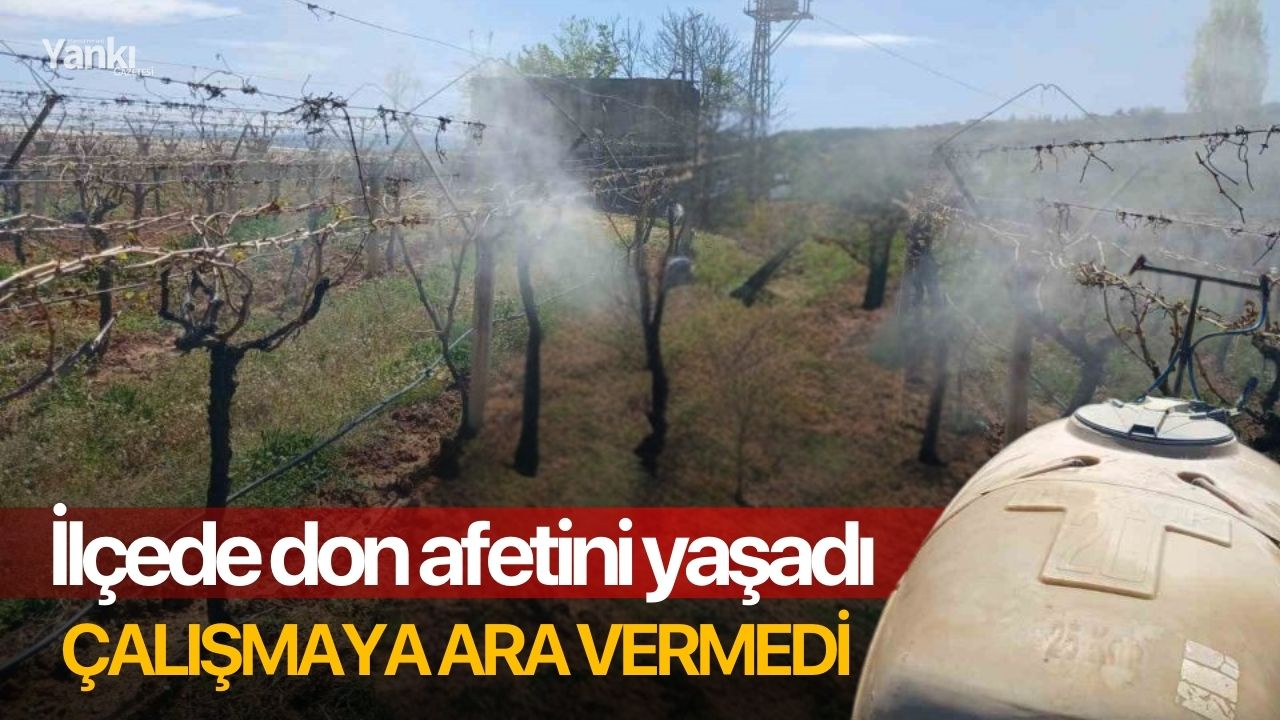 İlçede don afetini yaşadı çalışmaya ara vermedi
