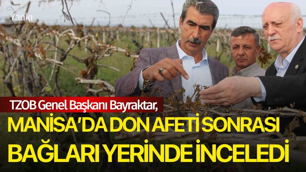 TZOB Genel Başkanı Bayraktar, Manisa’da don afeti sonrası bağları yerinde inceledi