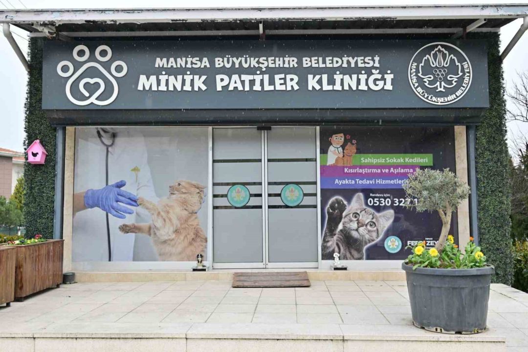 Minik Patiler Kliniği’nde kısırlaştırılan kedi sayısı 3 bini geçti