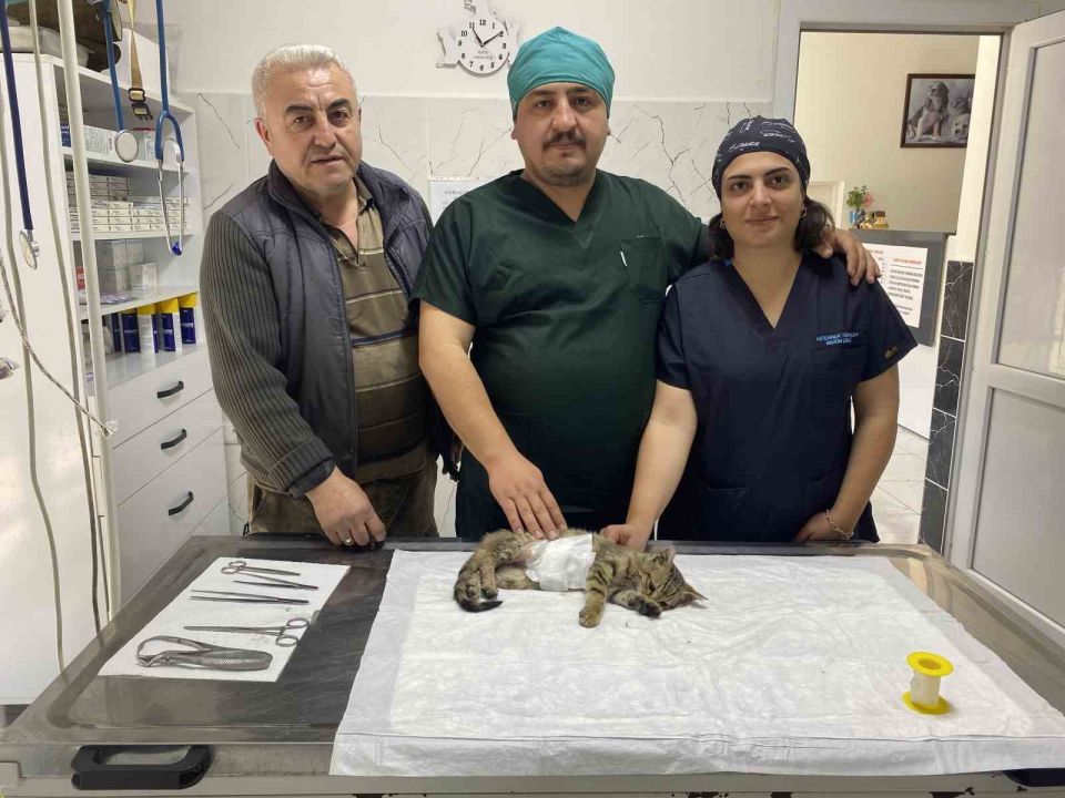 Manisalı esnafın duyarlılığı bir kediyi hayata bağladı