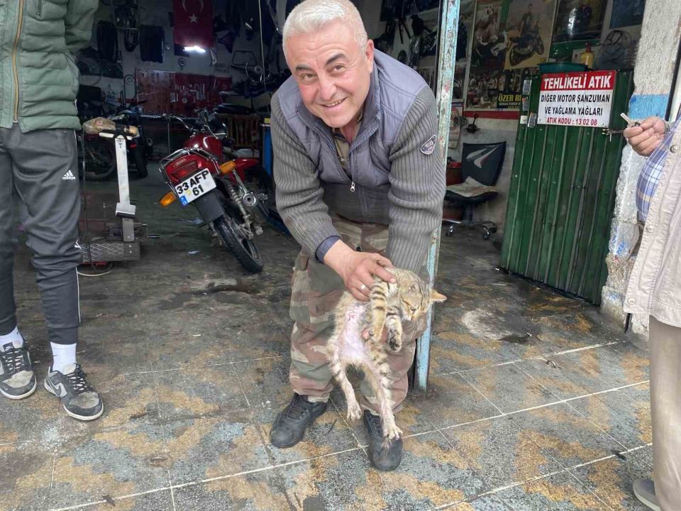 Manisalı esnafın duyarlılığı bir kediyi hayata bağladı