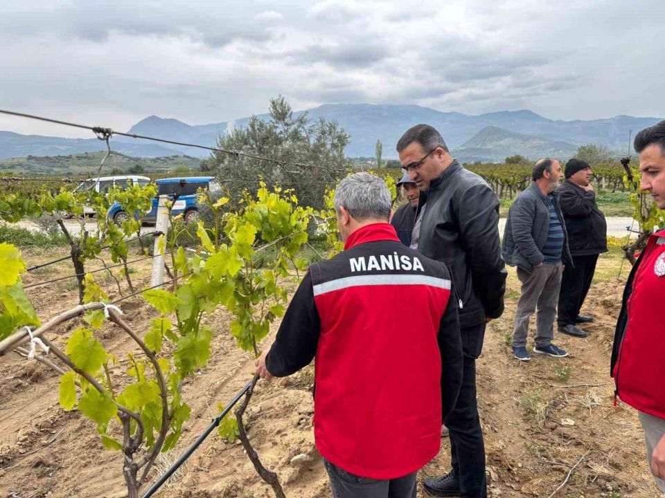 Kaymakam Dalak don zararı gören bağlarda incelemelerde bulundu