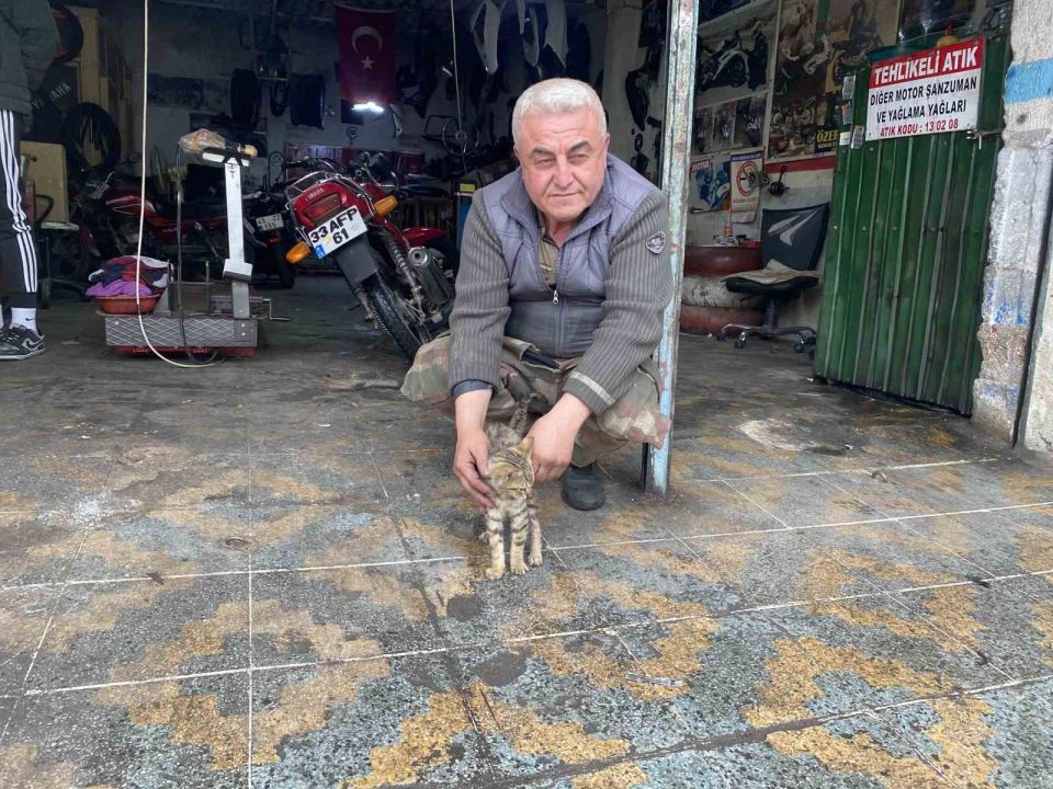 Manisalı esnafın duyarlılığı bir kediyi hayata bağladı