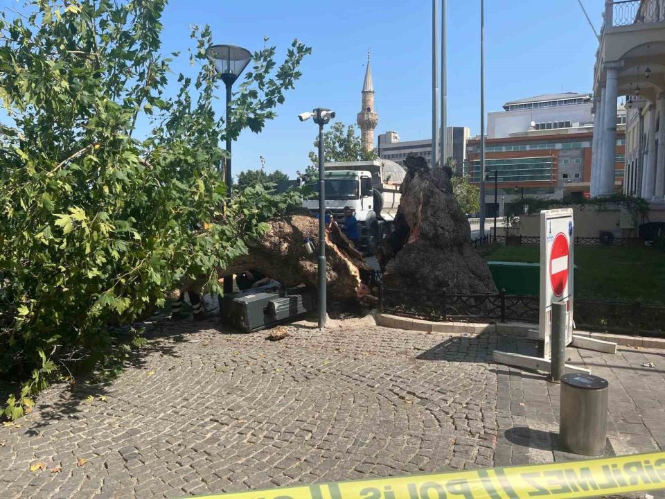 Tarihi Kemeraltı Çarşısı girişindeki dev çınar devrildi