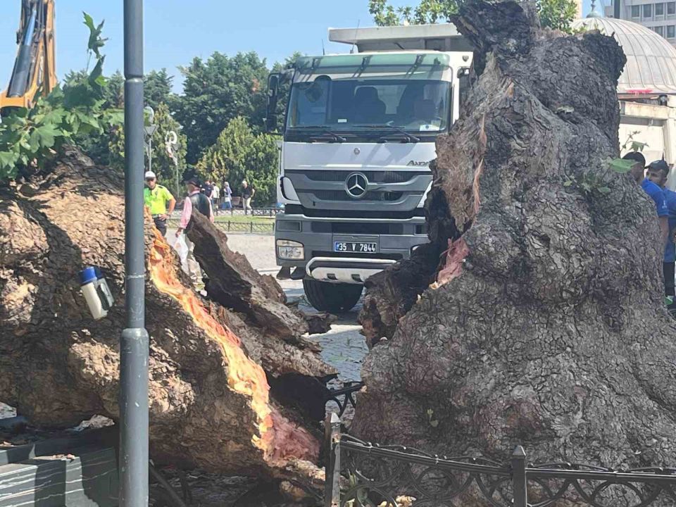 Tarihi Kemeraltı Çarşısı girişindeki dev çınar devrildi