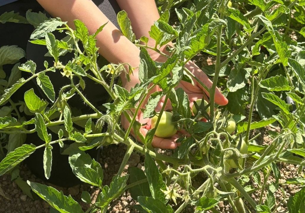 Manisa'da geri dönüşüm malzemelerinden doğal yaşam sınıfı