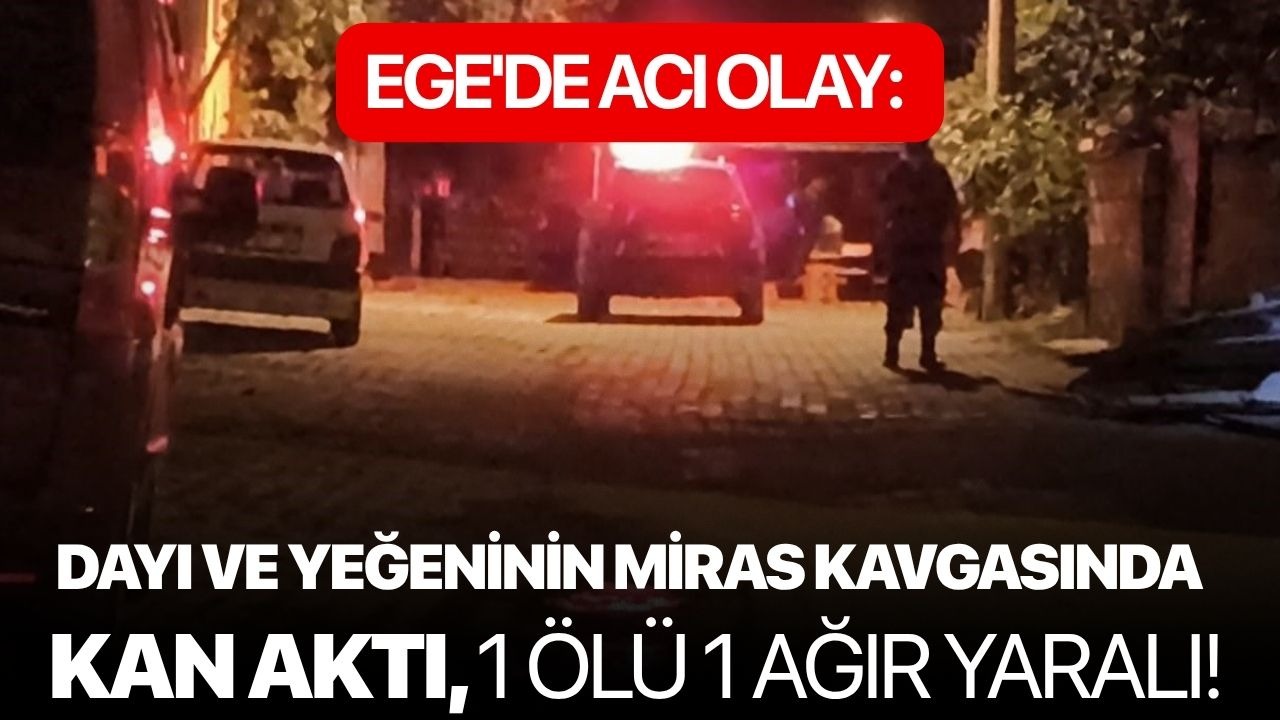 Ege'de acı olay: Dayı ve yeğeninin miras kavgasında kan aktı, 1 ölü 1 ağır yaralı!