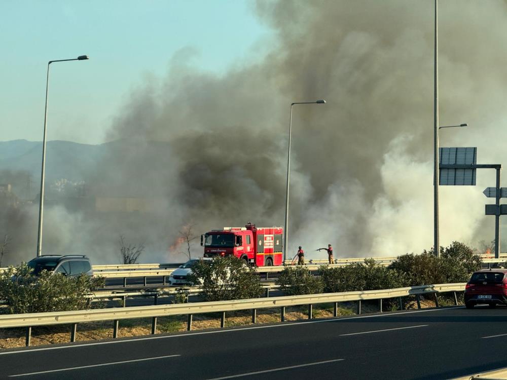 Mobilya atölyesinde yangın çıktı: Otluk alana sıçradı!