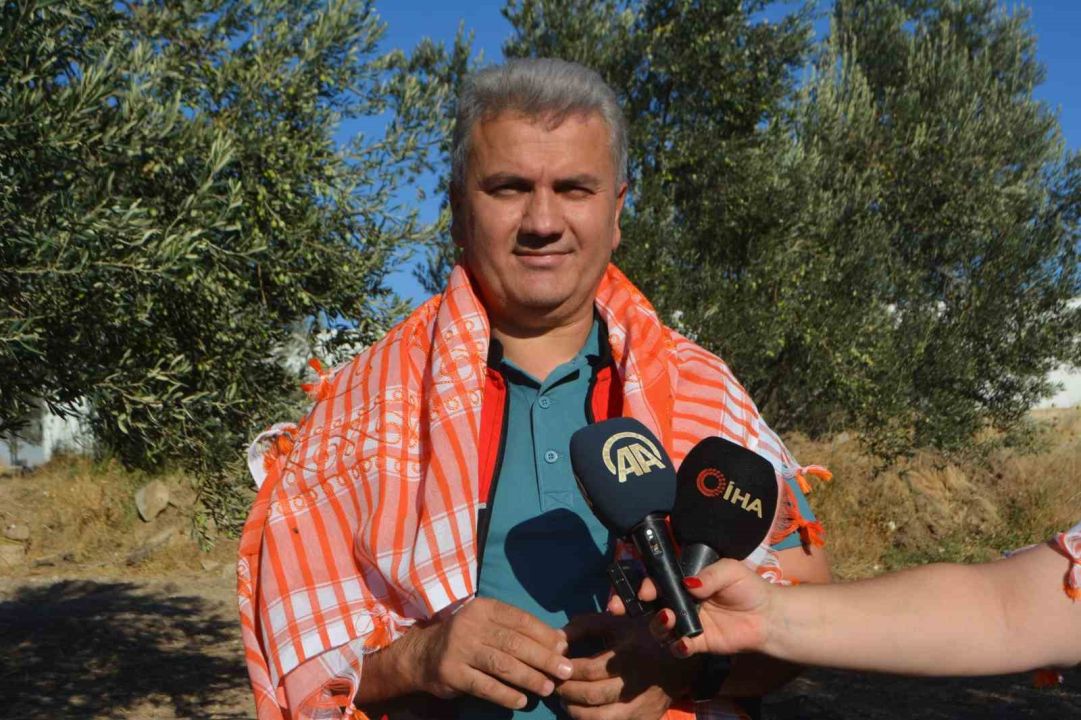 Zeytinyağında AB tescili için çabalar sürüyor