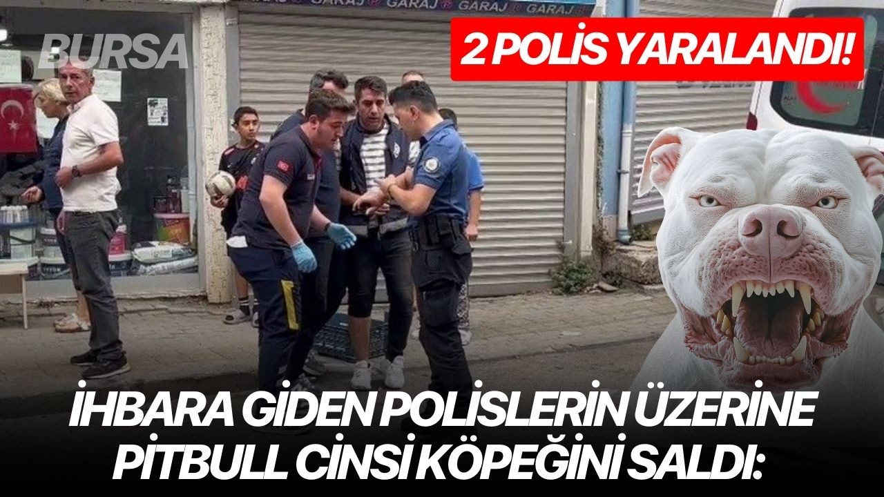 İhbara giden polislerin üzerine pitbull cinsi köpeğini saldı: 2 polis yaralandı!