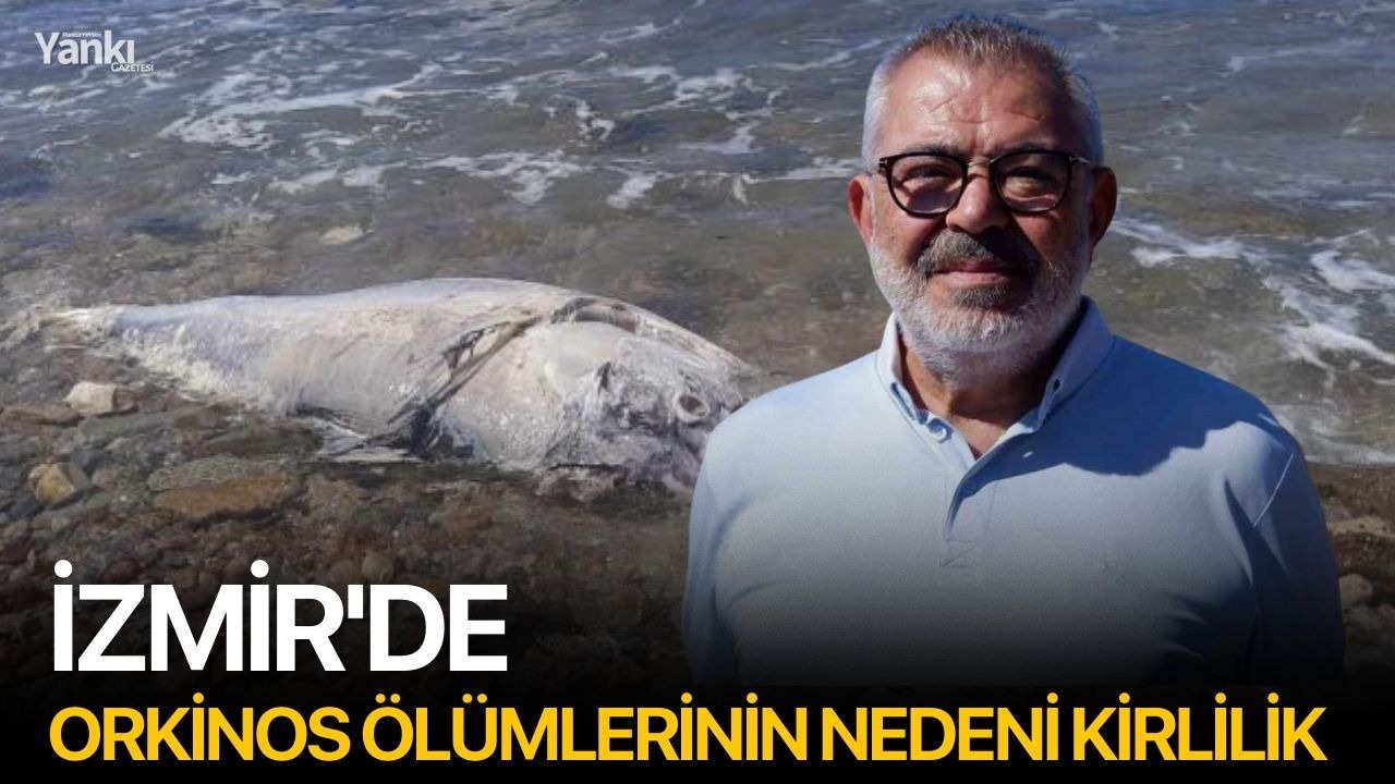 İzmir'de orkinos ölümlerinin nedeni kirlilik
