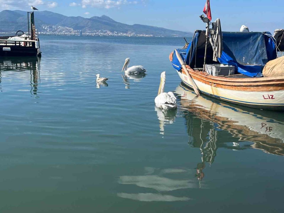 Gece avlanan balıklar, sabah mezatta alıcıyla buluşuyor
