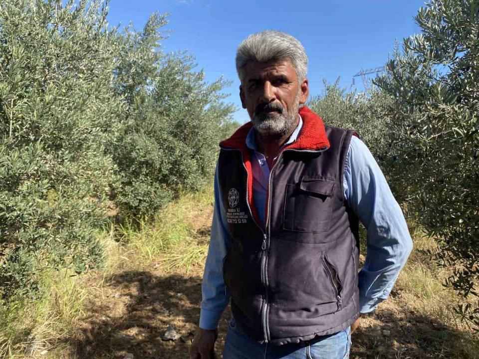 Yağmur, çiftçilere sevinç yaşattı