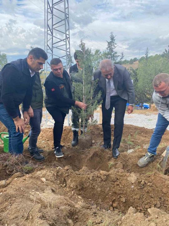 Alaşehir’de 3 bin fidan toprakla buluştu