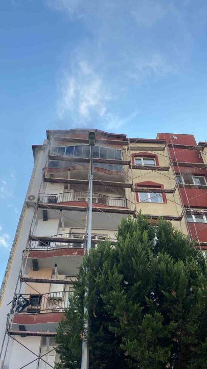 Mazgala düşen kayıp köpek ve yangında mahsur kalan kediler itfaiyenin çabasıyla kurtarıldı!