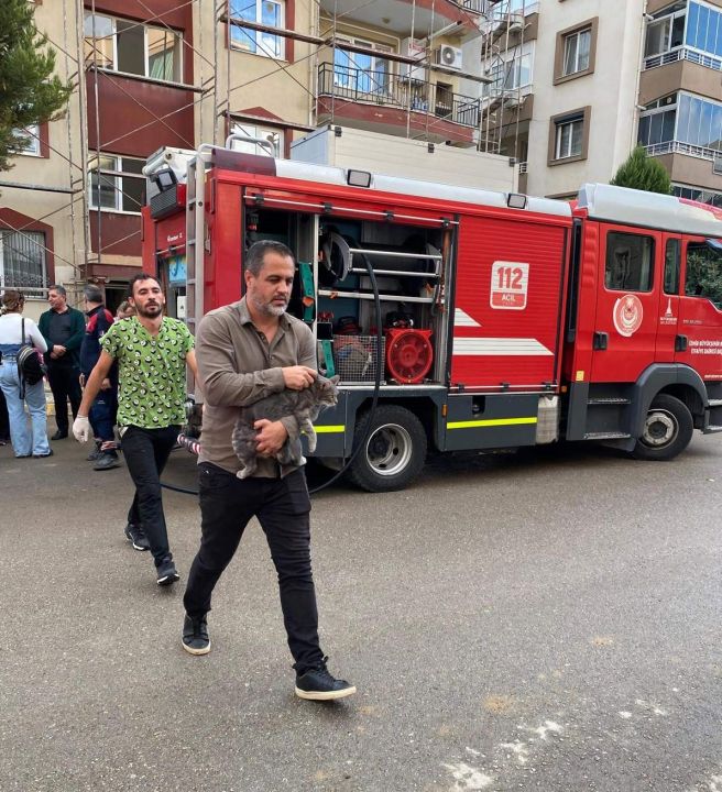 Mazgala düşen kayıp köpek ve yangında mahsur kalan kediler itfaiyenin çabasıyla kurtarıldı!