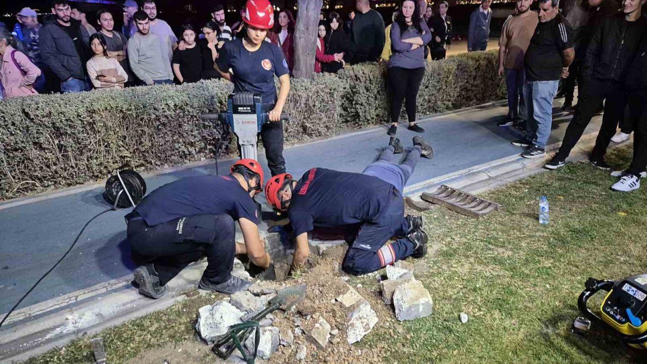 Mazgala düşen kayıp köpek ve yangında mahsur kalan kediler itfaiyenin çabasıyla kurtarıldı!