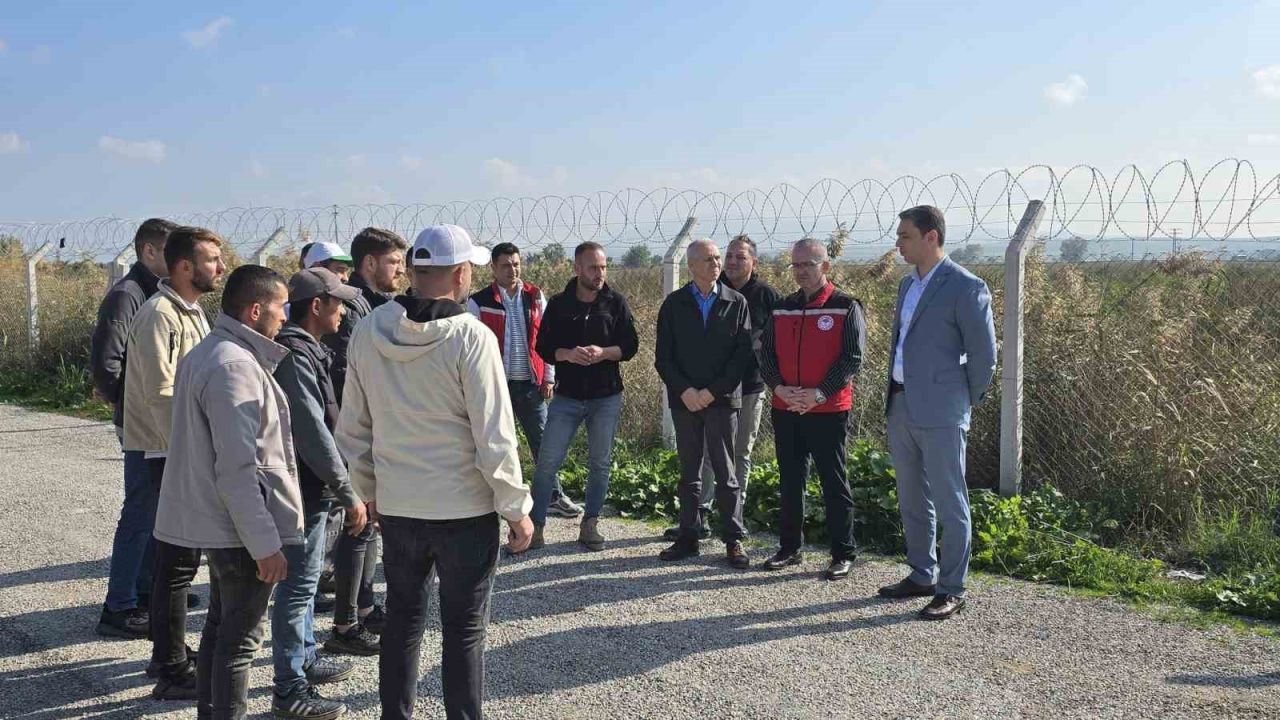 Manisa'nın iki ilçesinde sahipsiz köpekler toplanıyor