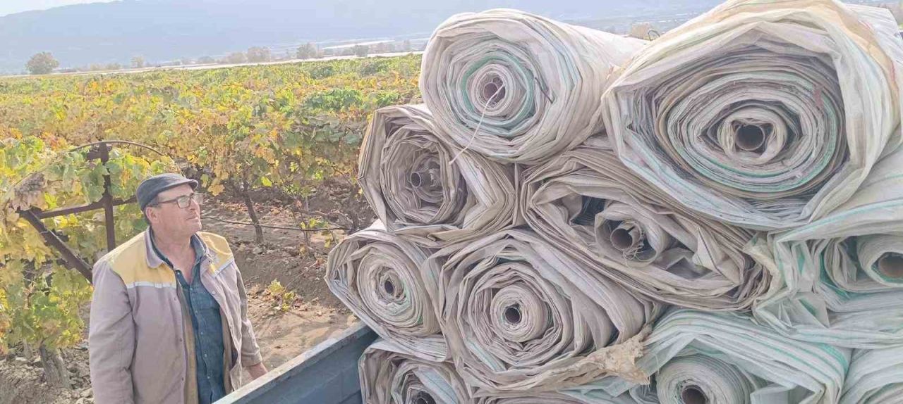 Manisa'da üzüm hasadı bitti, bağ örtüleri toplanıyor