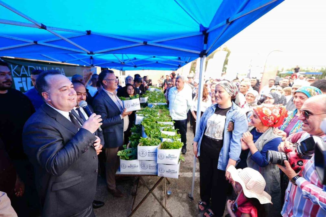 10 bin üreticiye 300 bin yerli fide desteği