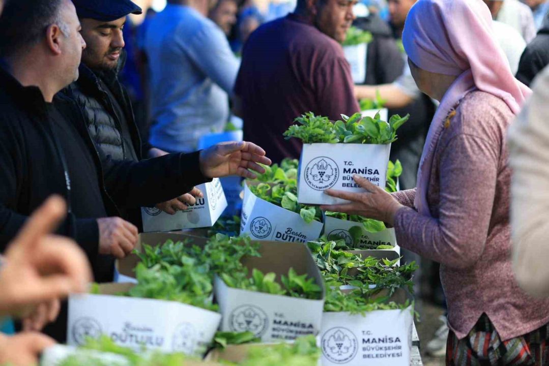 10 bin üreticiye 300 bin yerli fide desteği