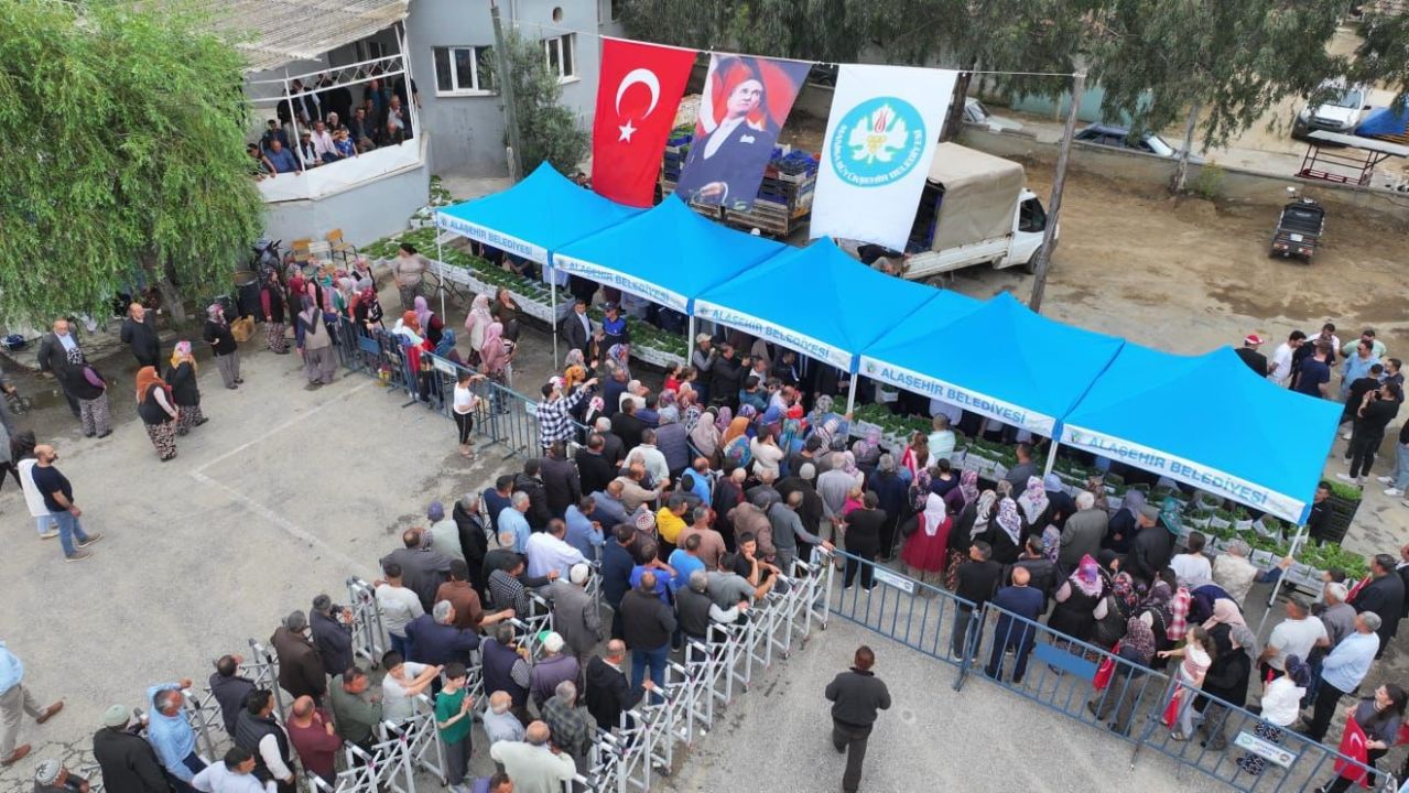 10 bin üreticiye 300 bin yerli fide desteği