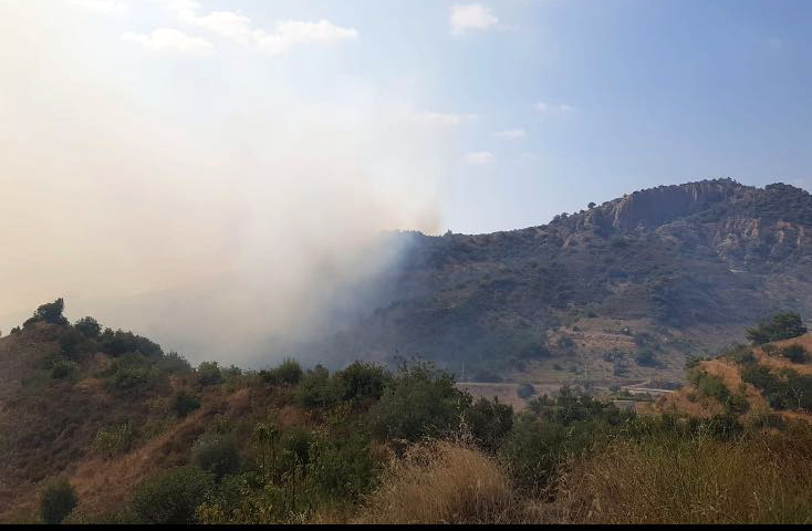 Zeytinlik yangını ormana sıçramadan kontrol altına alındı