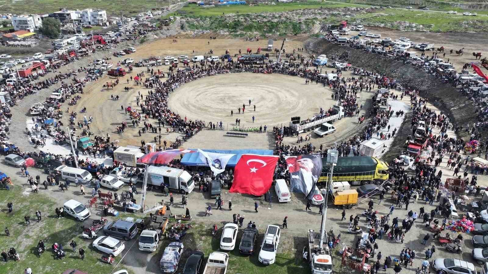 10. Salihli Deve Güreşleri Festivali yapıldı