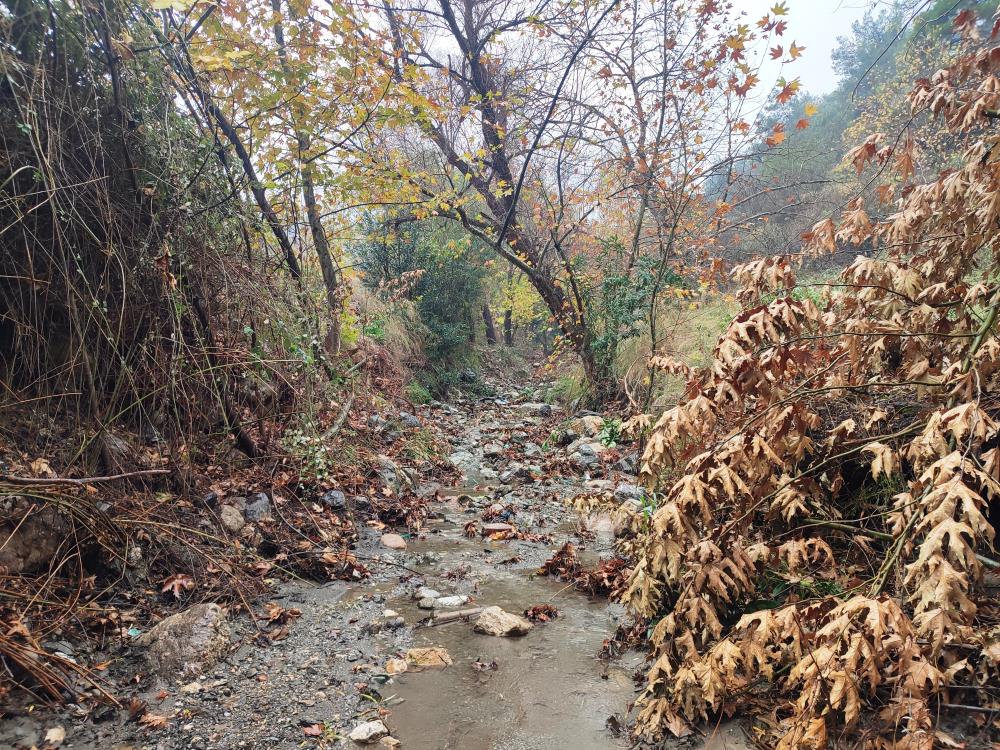 Manisa Mesir Tabiat Parkından eşsiz manzaralar