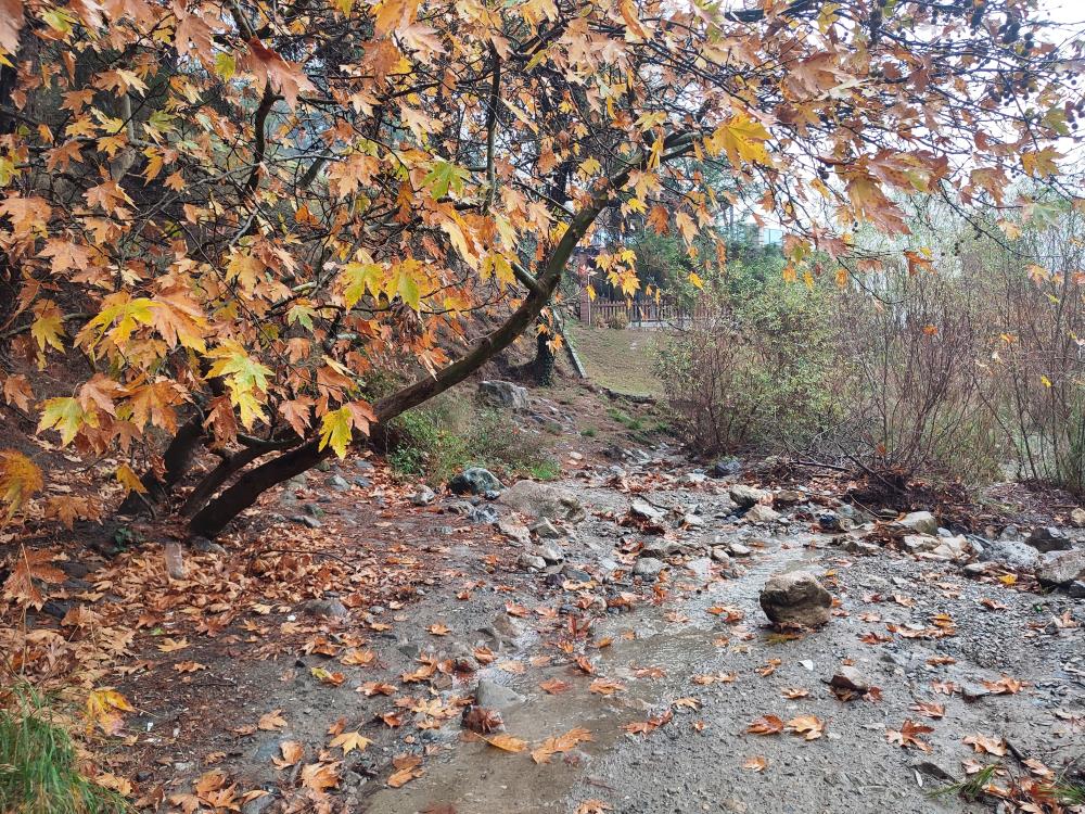 Manisa Mesir Tabiat Parkından eşsiz manzaralar