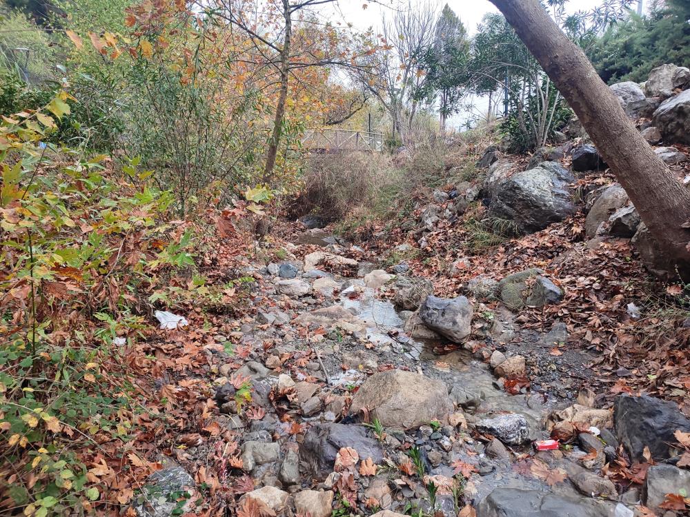 Manisa Mesir Tabiat Parkından eşsiz manzaralar