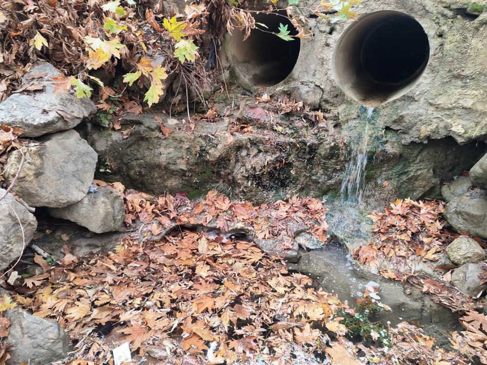 Manisa Mesir Tabiat Parkından eşsiz manzaralar