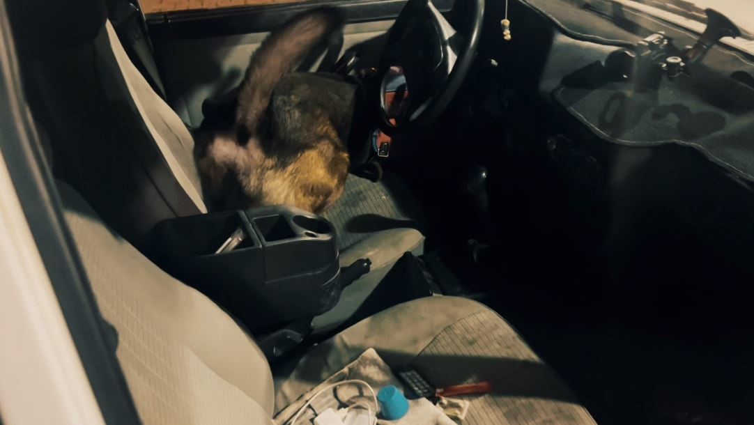 Kapıya gizlenen uyuşturucu narkotik köpeğinden kaçmadı
