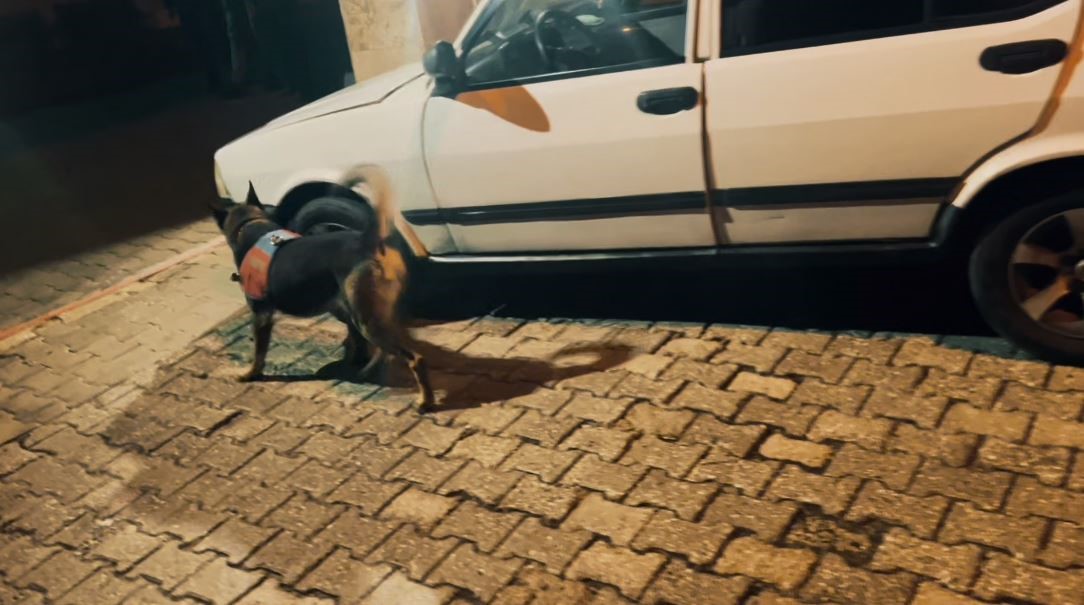 Kapıya gizlenen uyuşturucu narkotik köpeğinden kaçmadı