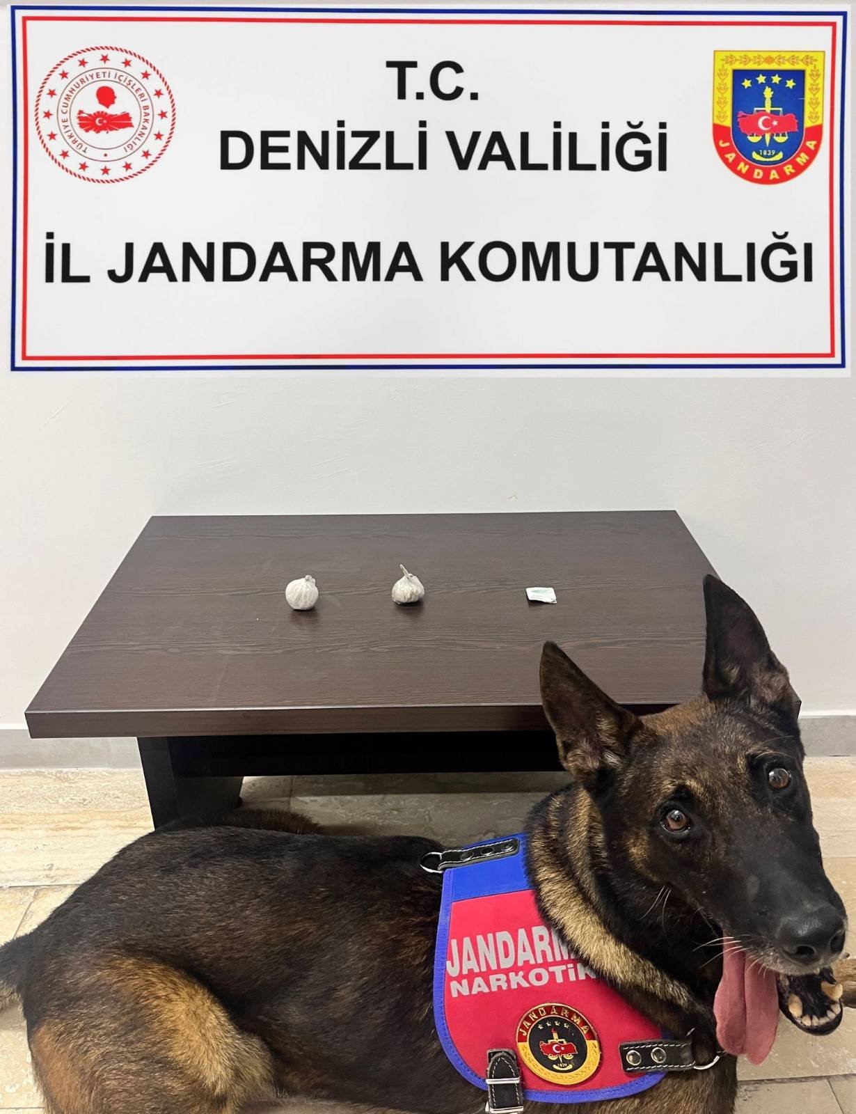 Kapıya gizlenen uyuşturucu narkotik köpeğinden kaçmadı
