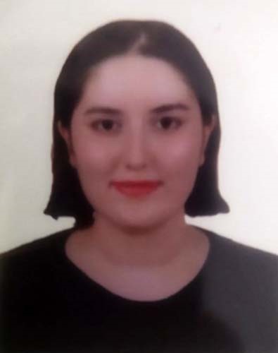 2 kişi elektrik akımına kapılmıştı: İnceleme başlatıldı