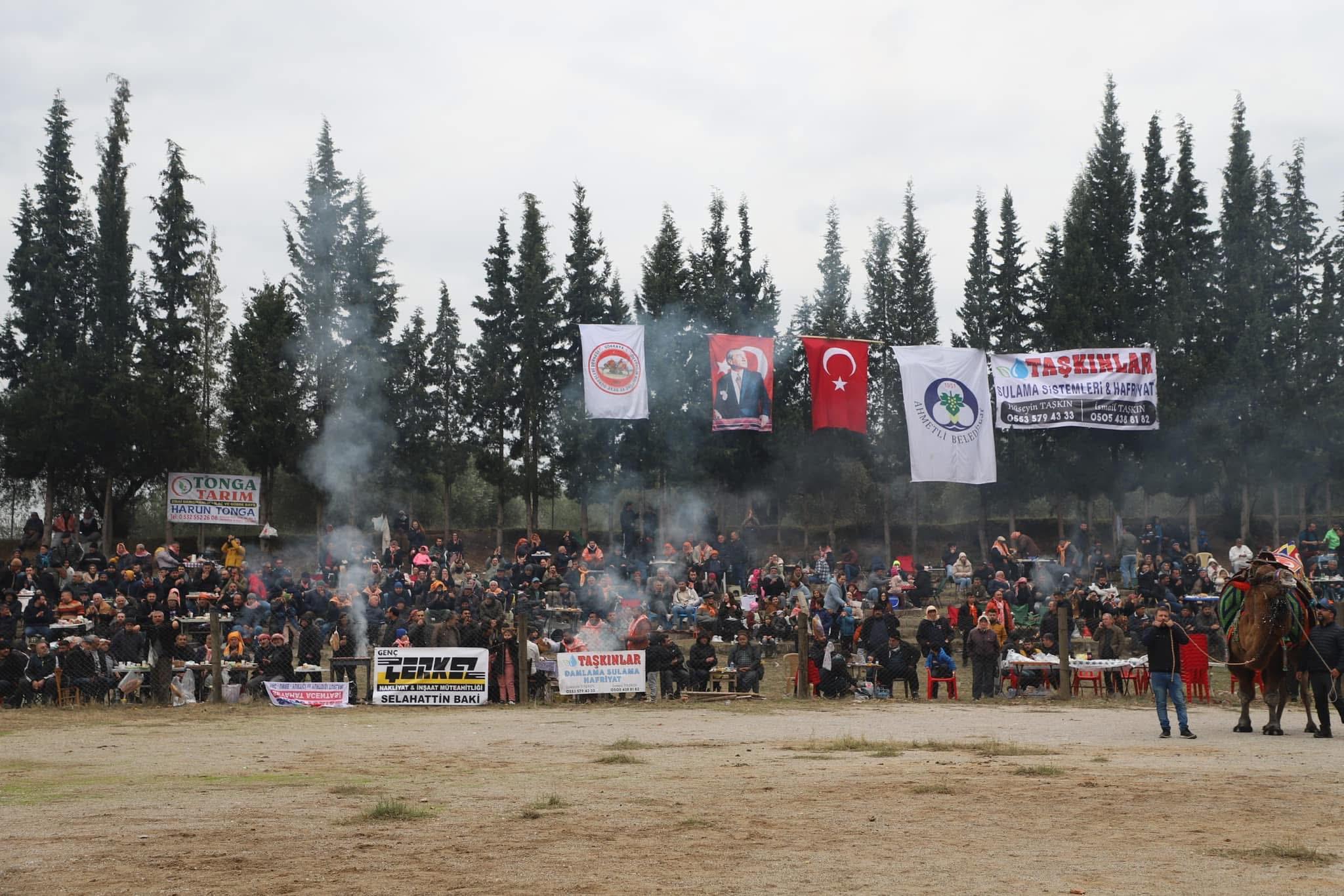 Gökkaya'da 26.Geleneksel Deve Güreşleri Şenliği ilgi gördü