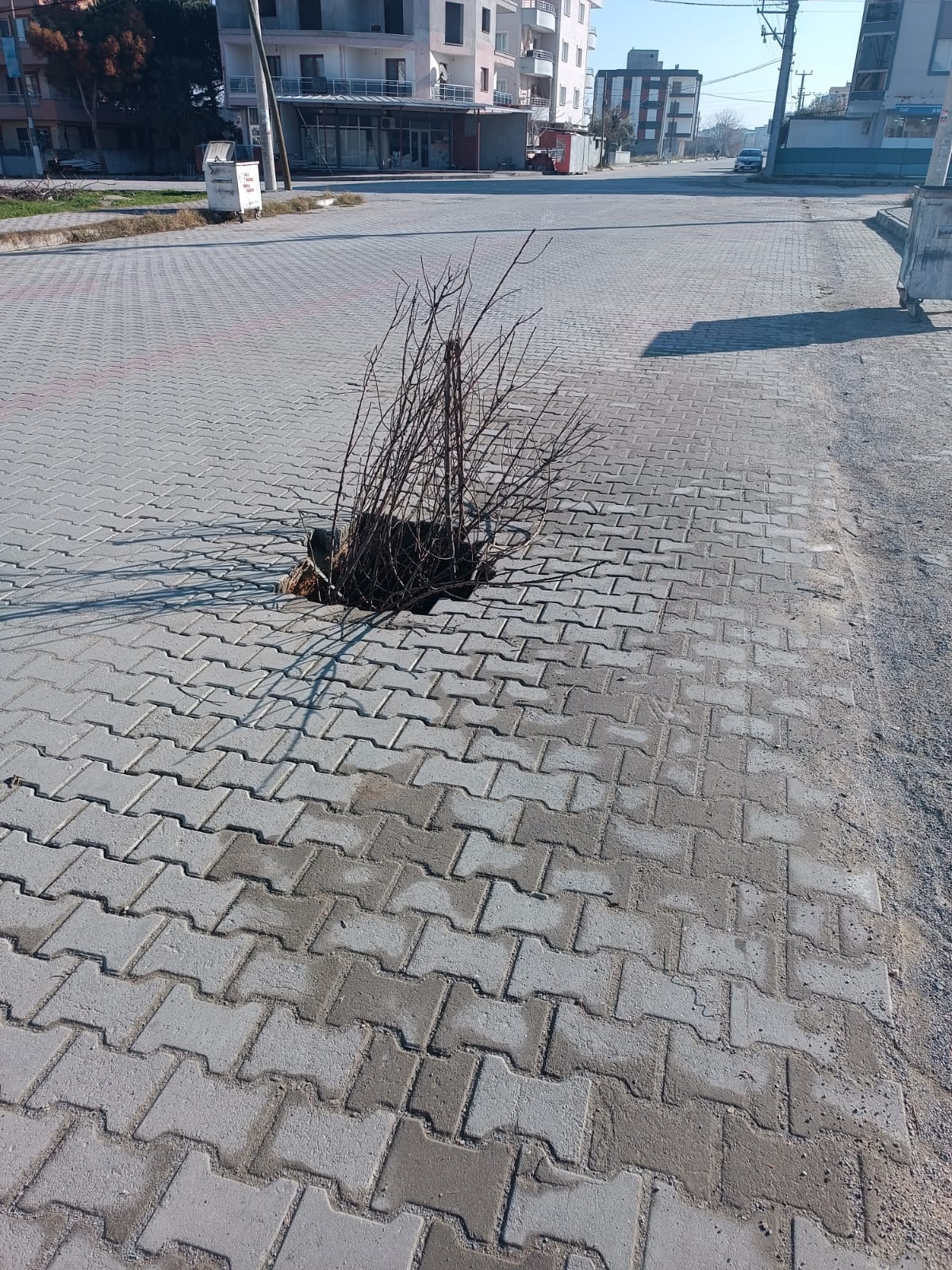 İlgililer ilgilenmedi, çareyi böyle buldular