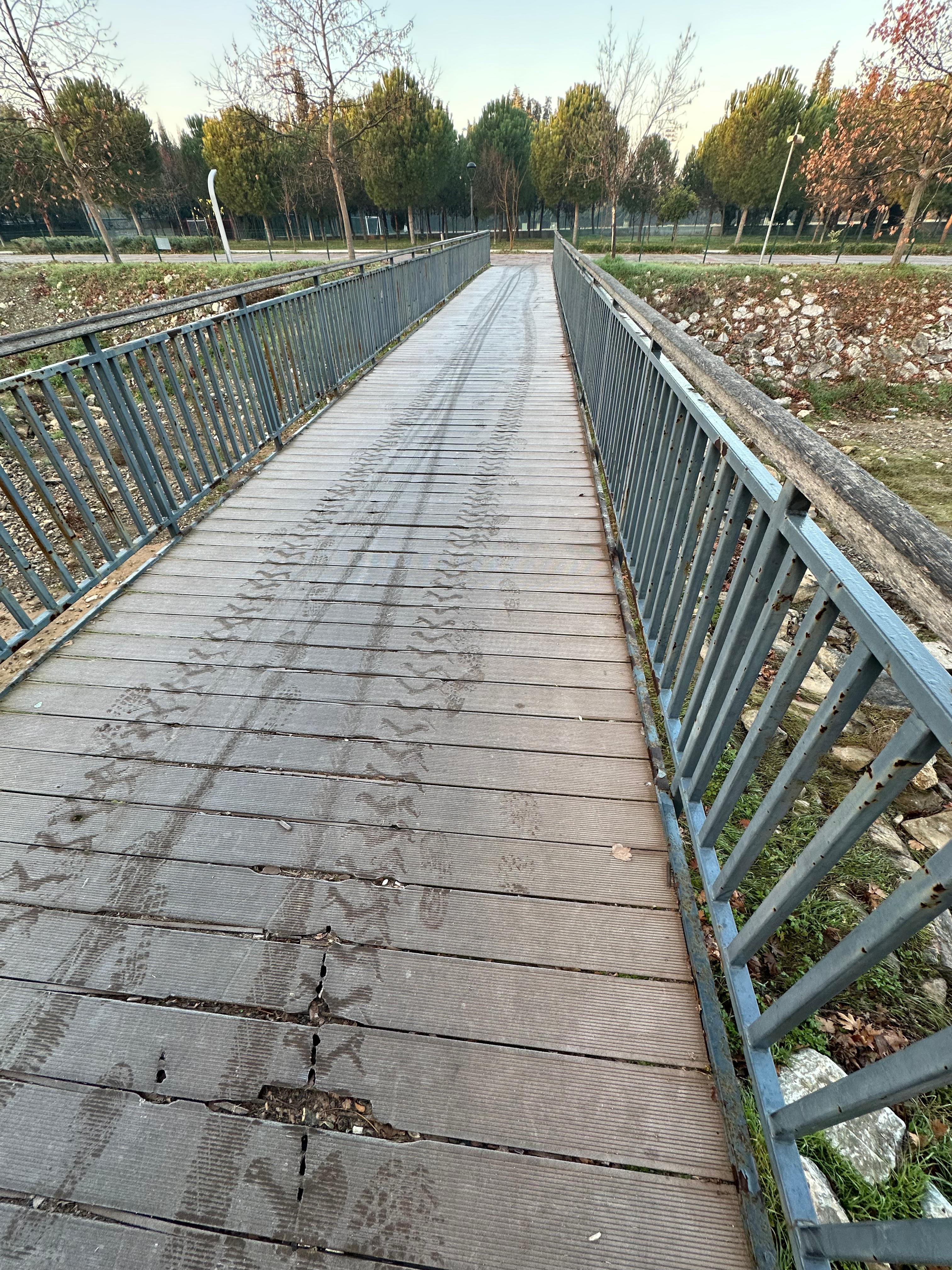 Turgutlu’da Kışın İlk İzleri: Kırağı Sabahları Güzelleştiriyor
