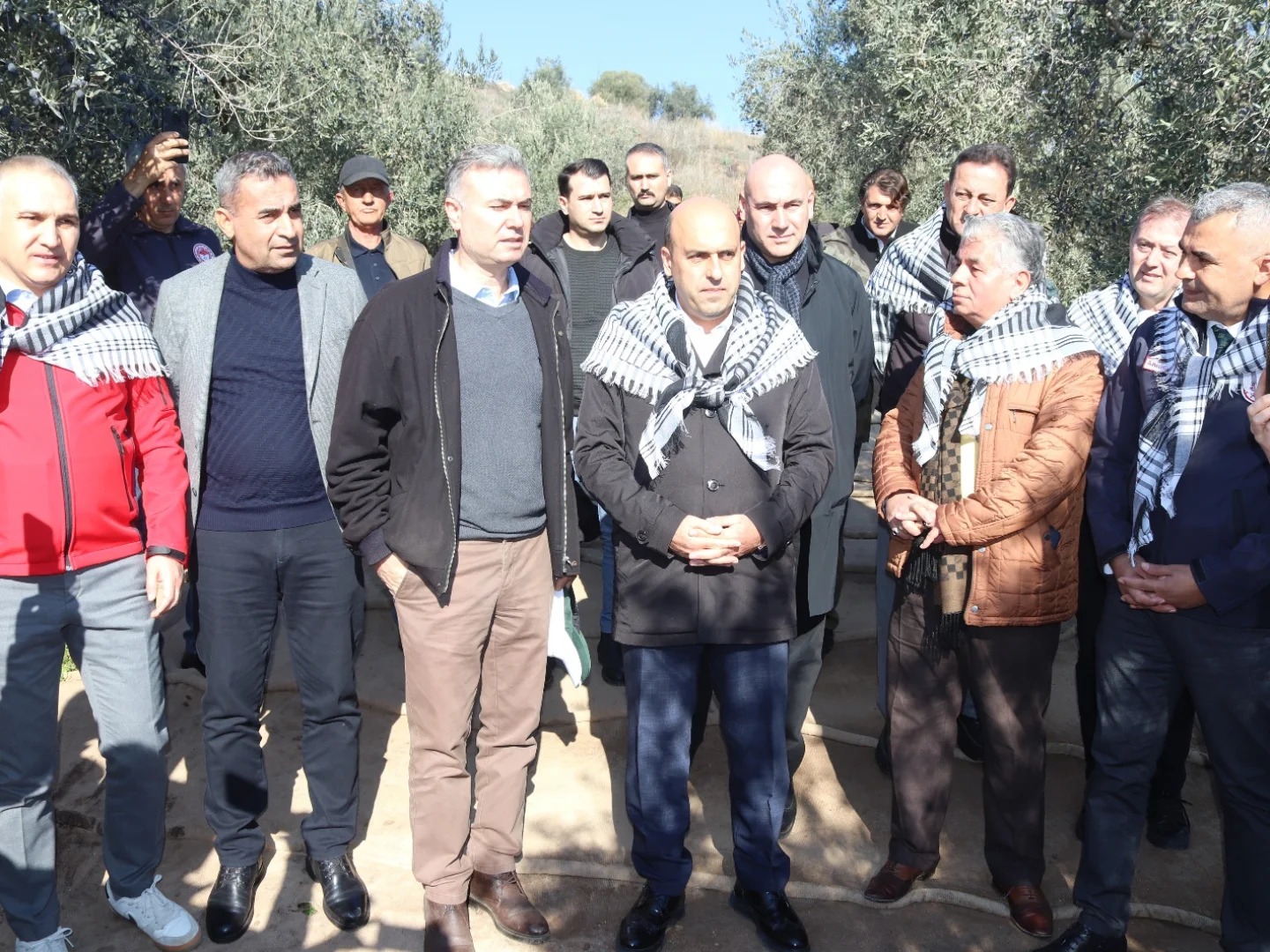 Manisa İl Tarım Müdürü Öztürk, zeytin hasadına katıldı