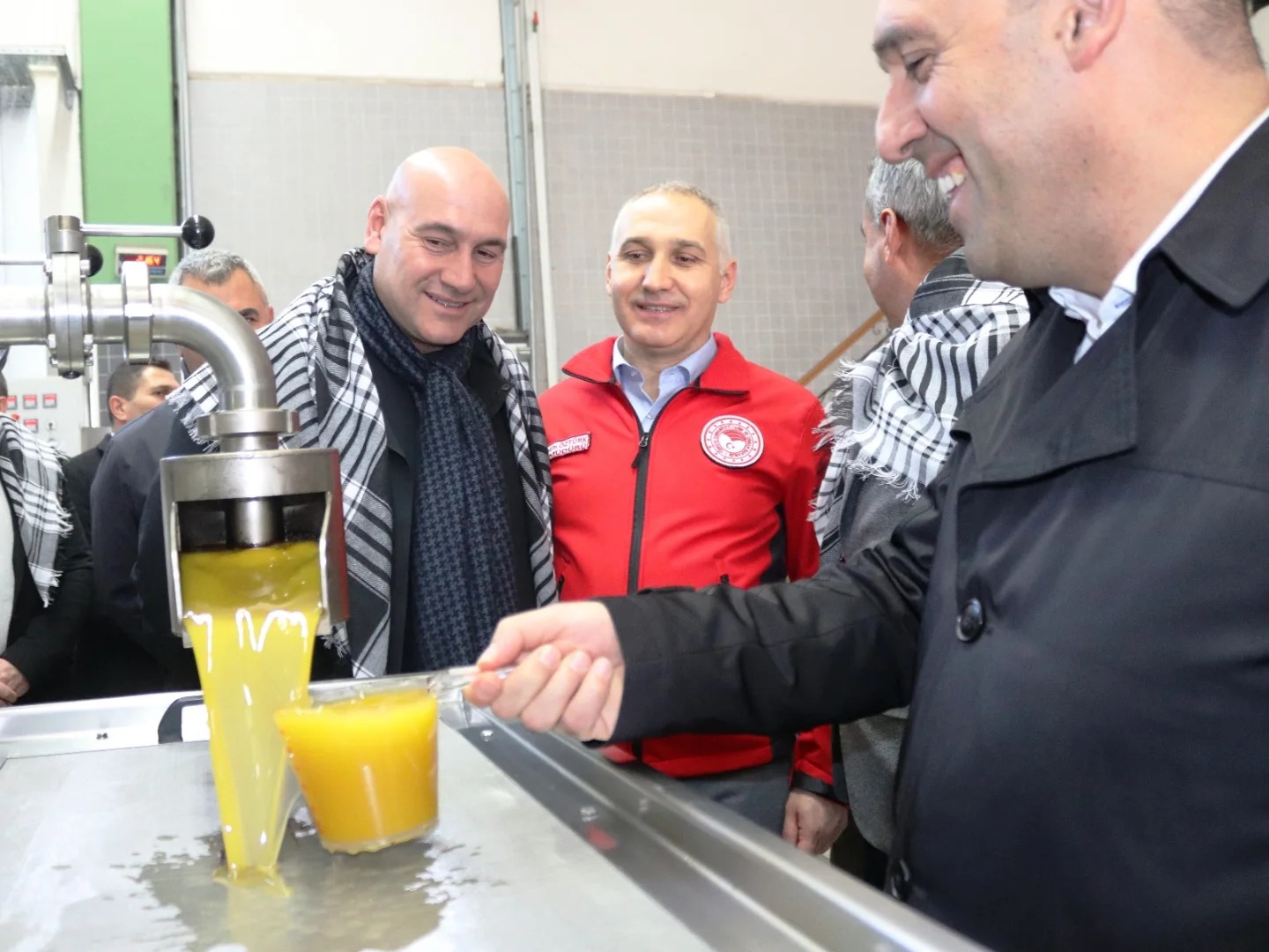 Manisa İl Tarım Müdürü Öztürk, zeytin hasadına katıldı